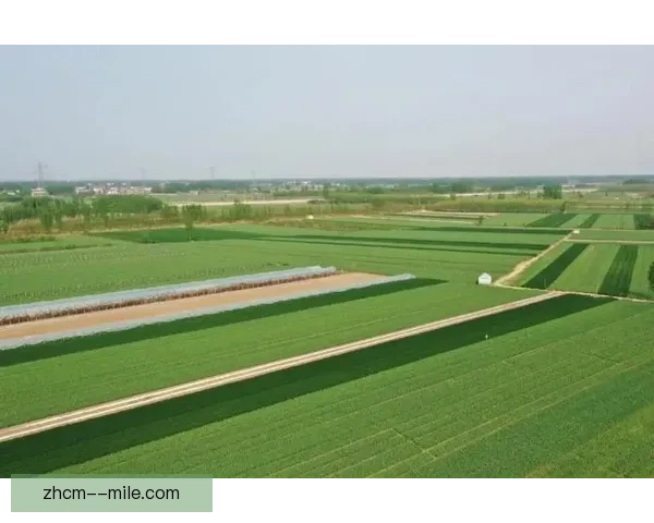 女足基础设施建设提速 各大俱乐部纷纷新建独立训练基地推动发展